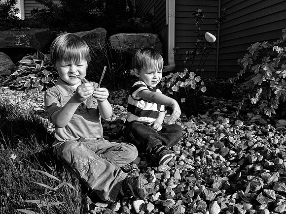 Photo-a-day #148: May 28, 2014 - Side Yard