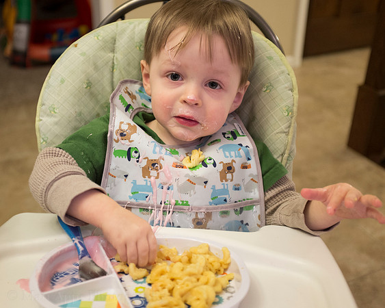 Photo-a-day #20: January 20, 2014 - Messy Becker
