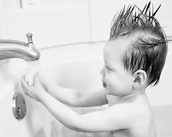 Photo-a-day #12: January 12, 2014 - Becker Soaphawk