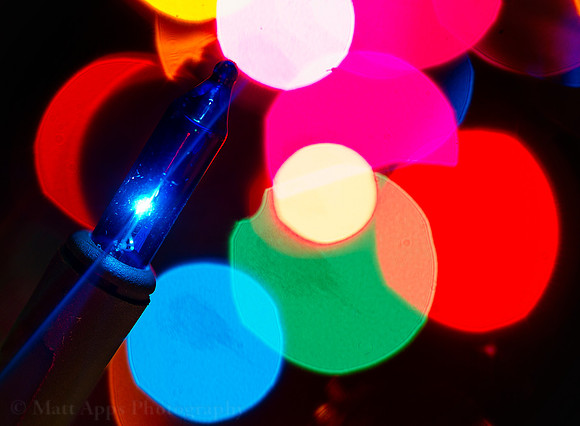 Photo-a-day #336: December 2, 2011 - Christmas Lights