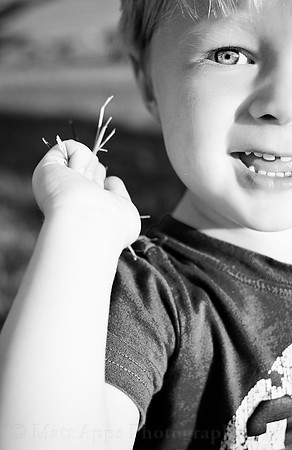 Photo-a-day #207: July 26, 2011 - Grass Fight