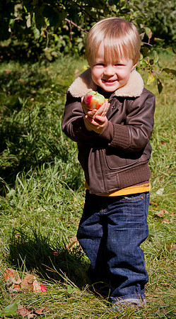 Photo-a-day #274: October 1, 2011 - Picking Apples
