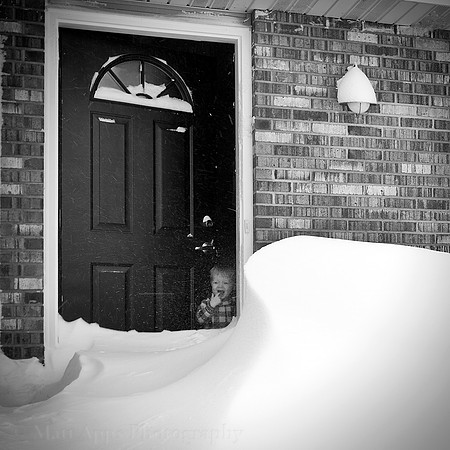 Photo-a-day #33: February 2, 2011 - Taste the Snow