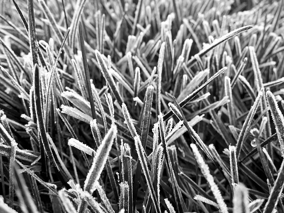 Photo-a-day #301: October 28, 2011 - First Frost