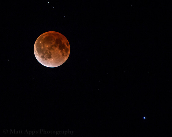 Photo-a-day #105: April 15, 2014 - Blood Moon