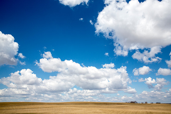 Photo-a-day #100: April 10, 2014 - Fine Day