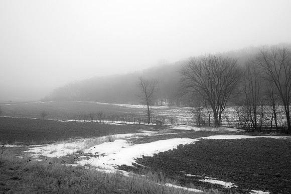 Photo-a-day #78: March 19, 2014 - Morning Fog