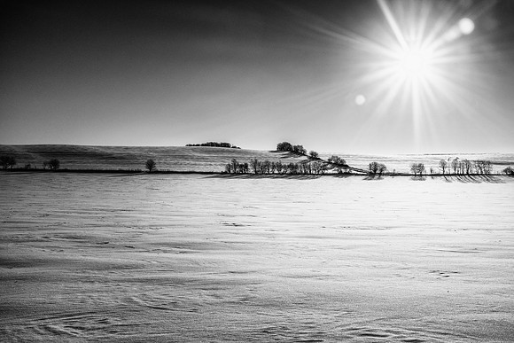 Photo-a-day #51: February 20, 2014 - Winter Sun