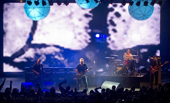 Photo-a-day #113: April 23, 2011 - Pixies