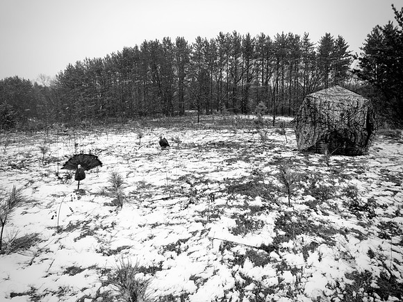 Photo-a-day #106: April 16, 2011 - Turkey Hunting