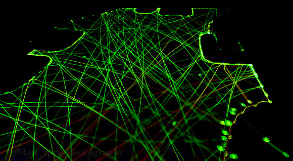 Photo-a-day #43: February 12, 2011 - Web of Roomba