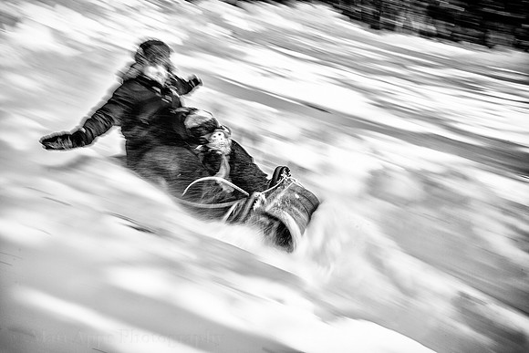 Photo-a-day #39: February 8, 2014 - Serious Sledding