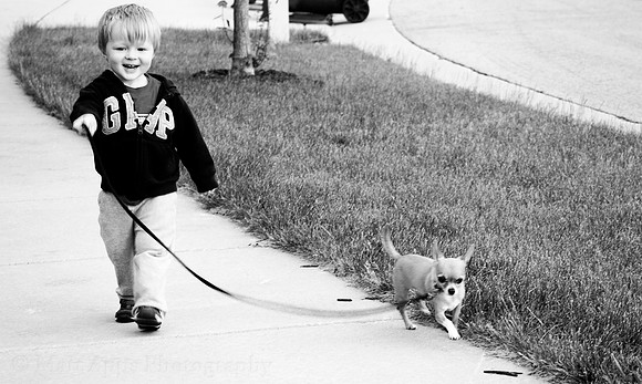 Photo-a-day #165: June 14, 2011 - Walking the Dog