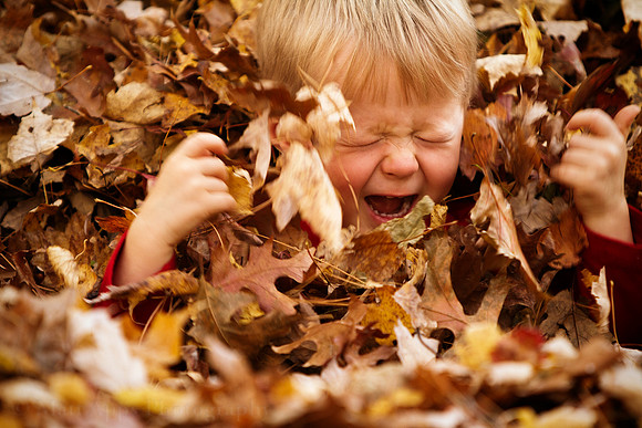 Photo-a-day #281: October 8, 2011 - Leaf Pile