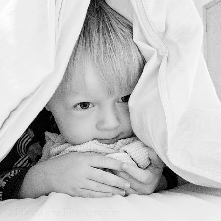 Photo-a-day #275: October 2, 2011 - Undercover