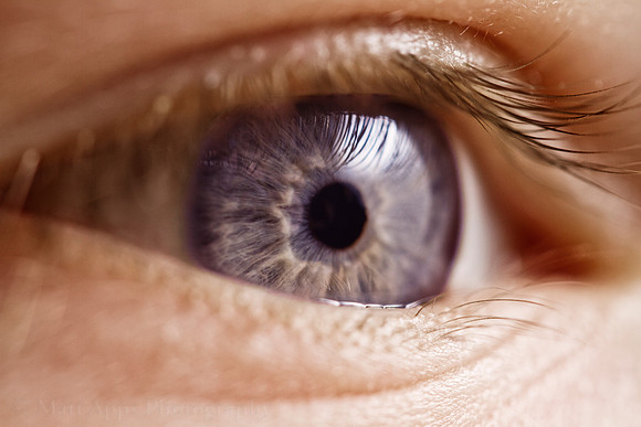 Photo-a-day #319: November 15, 2011 - The Eye