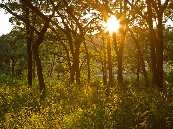 Photo-a-day #206: July 25, 2011 - Prairie Ridge Park