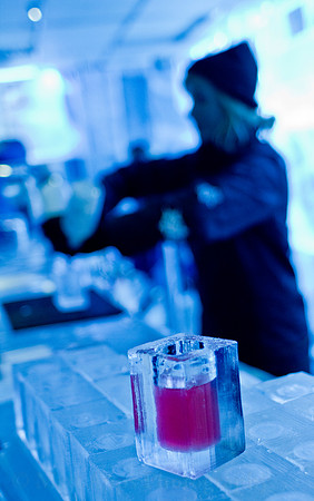 Photo-a-day #142: May 22, 2011 - Stockholm Ice Bar