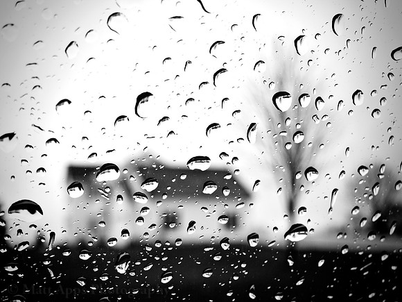 Photo-a-day #116: April 26, 2011 - Raining