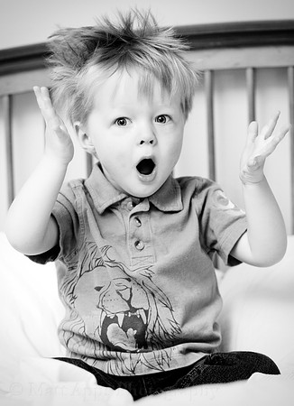 Photo-a-day #132: May 12, 2011 - Crazy-Crazy Hair