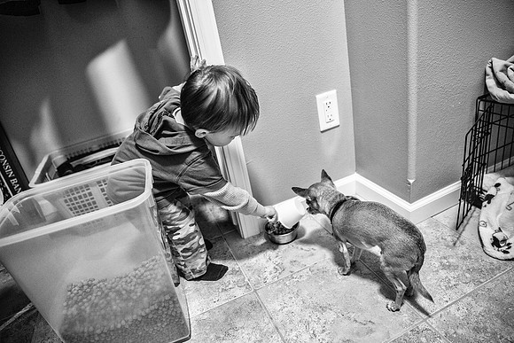 Photo-a-day #49: February 18, 2014 - Nice Becker