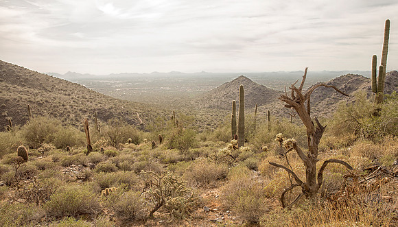 Photo-a-day #63: March 4, 2014 - Gateway Loop Trail