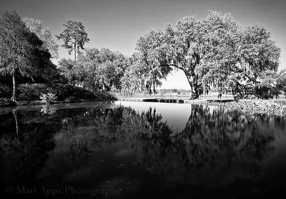 Photo-a-day #93: April 3, 2011 - Charleston Plantations