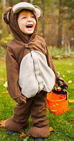 Photo-a-day #302: October 29, 2011 - Ian the Monkey