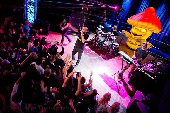 Photo-a-day #335: December 1, 2011 - Infected Mushroom II