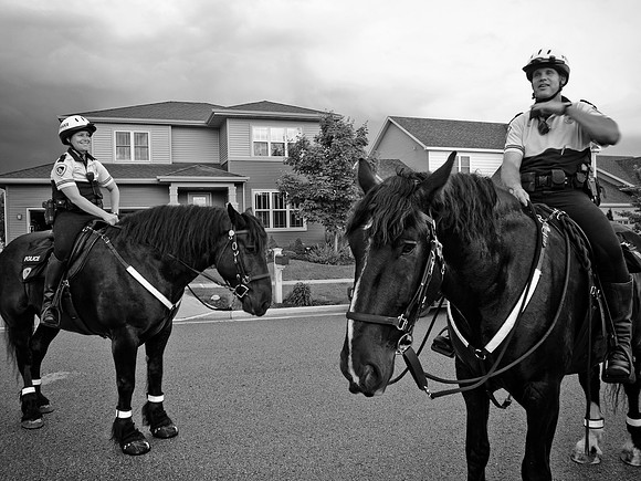 Photo-a-day #172: June 21, 2011 - Horsing Around